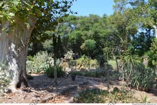 Photo Reference of Background Garden Palermo 0003